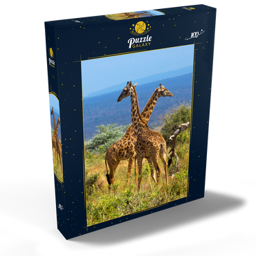 Amboseli-Nationalpark, Kenia, Giraffen (Giraffa camelopardalis) 100 Puzzle Schachtel Ansicht2