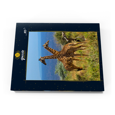 Amboseli-Nationalpark, Kenia, Giraffen (Giraffa camelopardalis) 100 Puzzle Schachtel Ansicht3