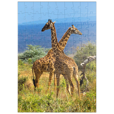 puzzleplate Amboseli-Nationalpark, Kenia, Giraffen (Giraffa camelopardalis) 100 Puzzle