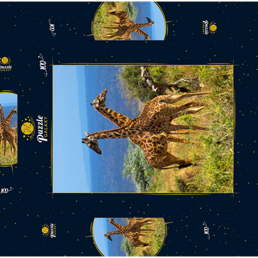 Amboseli-Nationalpark, Kenia, Giraffen (Giraffa camelopardalis) 100 Puzzle Schachtel 3D Modell