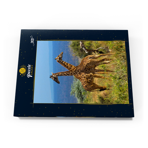 Amboseli-Nationalpark, Kenia, Giraffen (Giraffa camelopardalis) 200 Puzzle Schachtel Ansicht3