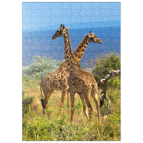 puzzleplate Amboseli-Nationalpark, Kenia, Giraffen (Giraffa camelopardalis) 200 Puzzle