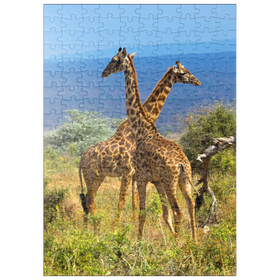 Darstellung des Puzzle Motivs Amboseli-Nationalpark, Kenia, Giraffen (Giraffa camelopardalis) - Puzzleteile: 200