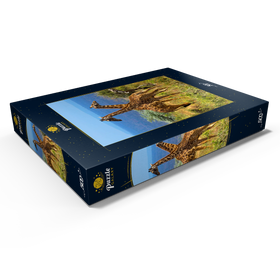 Alternative Darstellung des Puzzle-Motivs Amboseli-Nationalpark, Kenia, Giraffen (Giraffa camelopardalis) – Puzzleteile: 500