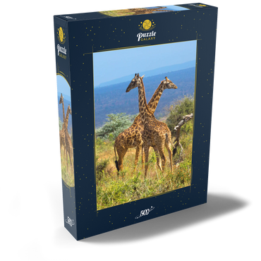 Amboseli-Nationalpark, Kenia, Giraffen (Giraffa camelopardalis) 500 Puzzle Schachtel Ansicht2