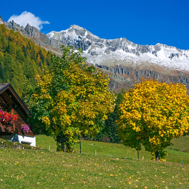 Bauernhaus bei Kasern, Ahrntal, Trentino-Südtirol 1000 Puzzle 3D Modell