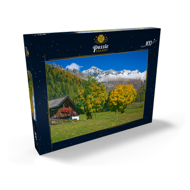 Bauernhaus bei Kasern, Ahrntal, Trentino-Südtirol 100 Puzzle Schachtel Ansicht2