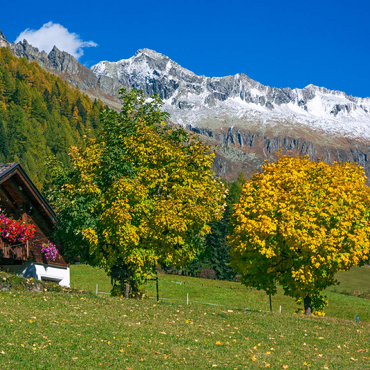 Bauernhaus bei Kasern, Ahrntal, Trentino-Südtirol 100 Puzzle 3D Modell