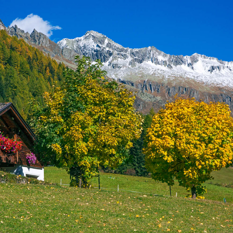 Bauernhaus bei Kasern, Ahrntal, Trentino-Südtirol 200 Puzzle 3D Modell