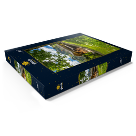 Darstellung des Puzzle Motivs Bergbauernhof in Gerstruben bei Oberstdorf - Puzzleteile: 100