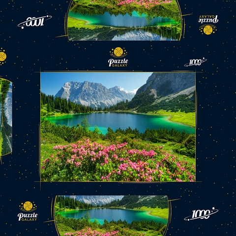 Blühende Alpenrosen am Seebensee im Wandergebiet der Ehrwalder Alm, Tiroler Zugspitz Arena 1000 Puzzle Schachtel 3D Modell