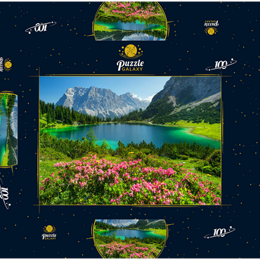Blühende Alpenrosen am Seebensee im Wandergebiet der Ehrwalder Alm, Tiroler Zugspitz Arena 100 Puzzle Schachtel 3D Modell