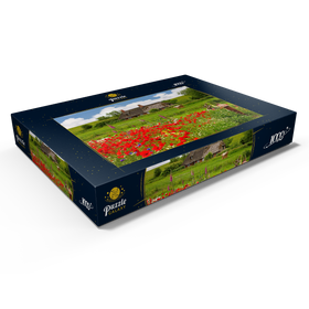 Alternative Darstellung des Puzzle-Motivs Sommerwiese mit Mohnblumen und Bauernkate bei Westerhever – Puzzleteile: 1000
