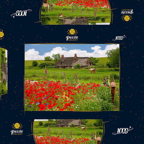 Sommerwiese mit Mohnblumen und Bauernkate bei Westerhever 1000 Puzzle Schachtel 3D Modell