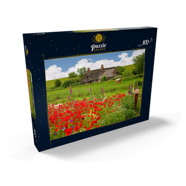 Sommerwiese mit Mohnblumen und Bauernkate bei Westerhever 100 Puzzle Schachtel Ansicht2