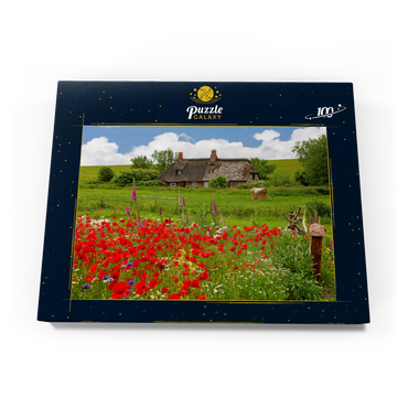 Sommerwiese mit Mohnblumen und Bauernkate bei Westerhever 100 Puzzle Schachtel Ansicht3
