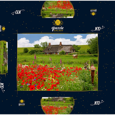 Sommerwiese mit Mohnblumen und Bauernkate bei Westerhever 100 Puzzle Schachtel 3D Modell