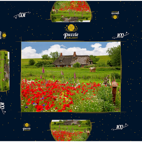Sommerwiese mit Mohnblumen und Bauernkate bei Westerhever 100 Puzzle Schachtel 3D Modell