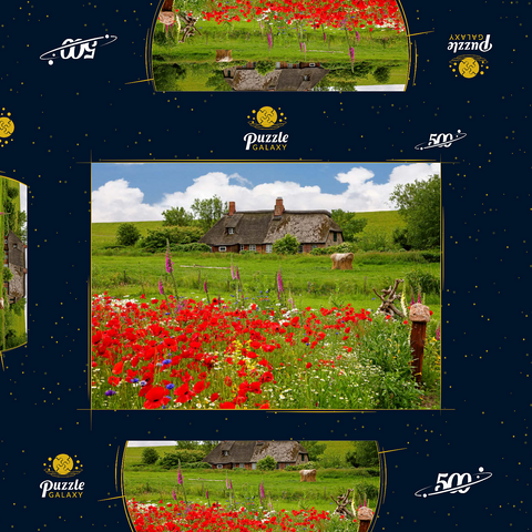 Sommerwiese mit Mohnblumen und Bauernkate bei Westerhever 500 Puzzle Schachtel 3D Modell
