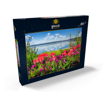 Seepromenade in Überlingen am Bodensee im Frühling zur Tulpenblüte 100 Puzzle Schachtel Ansicht2