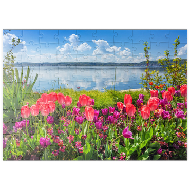 puzzleplate Seepromenade in Überlingen am Bodensee im Frühling zur Tulpenblüte 100 Puzzle