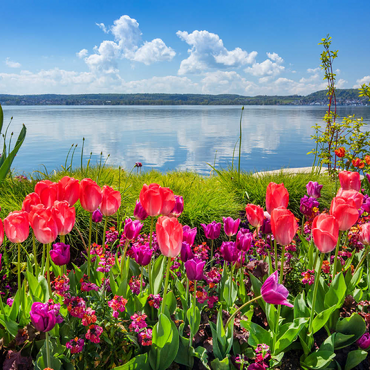 Seepromenade in Überlingen am Bodensee im Frühling zur Tulpenblüte 100 Puzzle 3D Modell