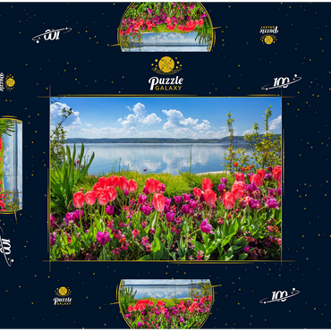 Seepromenade in Überlingen am Bodensee im Frühling zur Tulpenblüte 100 Puzzle Schachtel 3D Modell