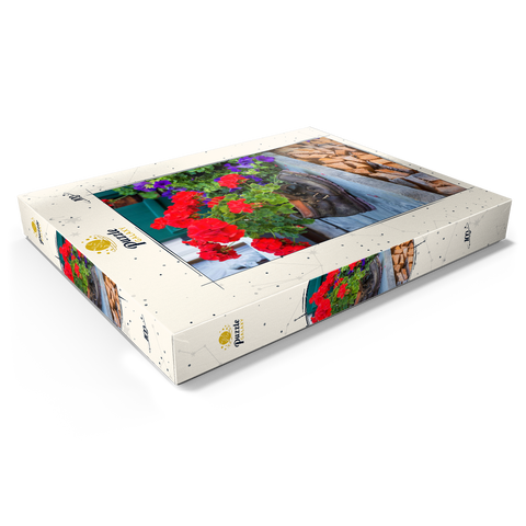 Alter Wanderstiefel mit Geranien in Oberstdorf 100 Puzzle Schachtel Ansicht1