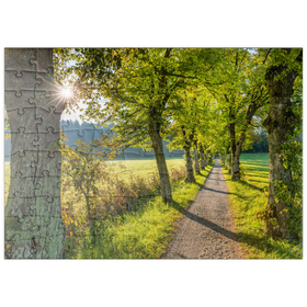 Darstellung des Puzzle Motivs Lindenallee am Höhenrieder Weg - Puzzleteile: 100