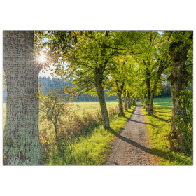 Darstellung des Puzzle Motivs Lindenallee am Höhenrieder Weg - Puzzleteile: 500