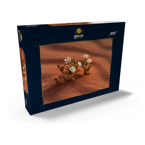 Die Wüste blüht, Blumen im Sand, Wadi Rum, Gouvernement Aqaba, Jordanien 1000 Puzzle Schachtel Ansicht2