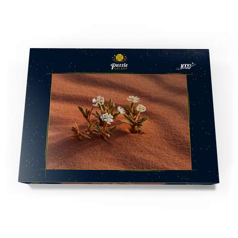 Die Wüste blüht, Blumen im Sand, Wadi Rum, Gouvernement Aqaba, Jordanien 1000 Puzzle Schachtel Ansicht3