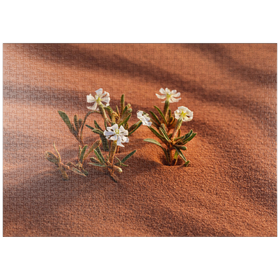 Darstellung des Puzzle-Motivs Die Wüste blüht, Blumen im Sand, Wadi Rum, Gouvernement Aqaba, Jordanien – Puzzleteile: 1000