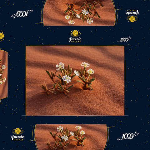 Die Wüste blüht, Blumen im Sand, Wadi Rum, Gouvernement Aqaba, Jordanien 1000 Puzzle Schachtel 3D Modell