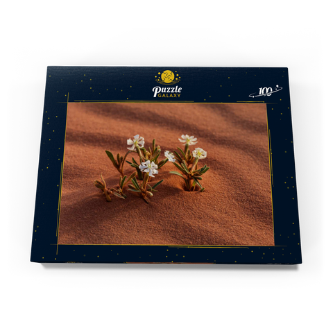 Die Wüste blüht, Blumen im Sand, Wadi Rum, Gouvernement Aqaba, Jordanien 100 Puzzle Schachtel Ansicht3
