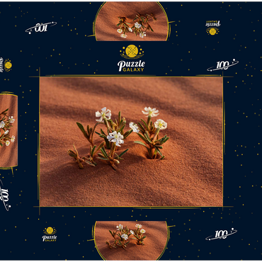 Die Wüste blüht, Blumen im Sand, Wadi Rum, Gouvernement Aqaba, Jordanien 100 Puzzle Schachtel 3D Modell