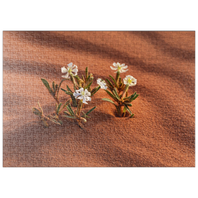 Darstellung des Puzzle Motivs Die Wüste blüht, Blumen im Sand, Wadi Rum, Gouvernement Aqaba, Jordanien - Puzzleteile: 500