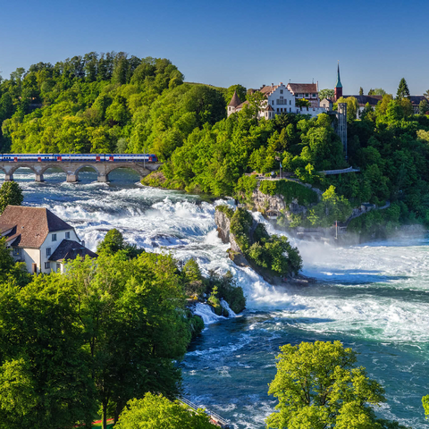 Blick über den Rheinfall zum Schloss Laufen 1000 Puzzle 3D Modell