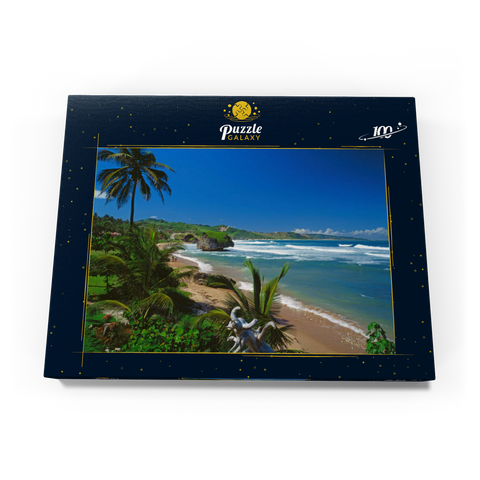 Ostküste bei Bathseba, Barbados, Inseln über dem Winde, Karibik 100 Puzzle Schachtel Ansicht3