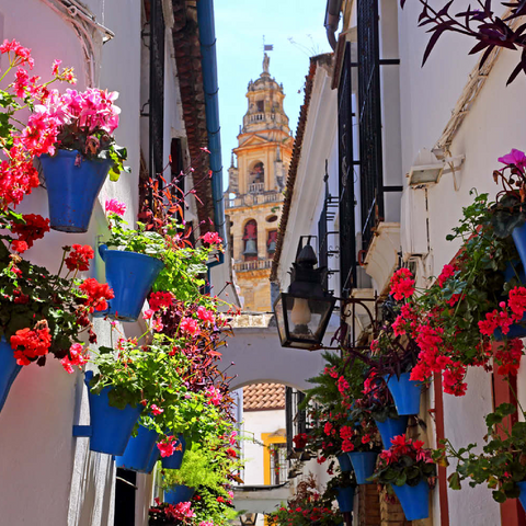 Calleja de las Flores in der Altstadt Juderia, Andalusien, Spanien 100 Puzzle 3D Modell