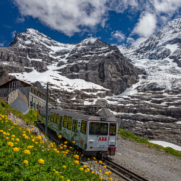 Jungfraubahn an der Station Eiger Gletscher (2320m) gegen Eiger (3970m) und Mönch (4107m) 1000 Puzzle 3D Modell