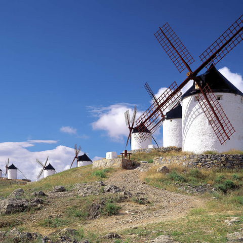 Windmühlen in Consuegra, Ciudad Real, Spanien 100 Puzzle 3D Modell
