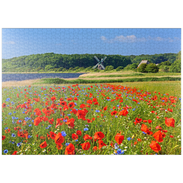 puzzleplate Mohnblumenfeld mit Blick zur Windmühle Charlotte in der Geltinger Birk, Geltinger Bucht 1000 Puzzle