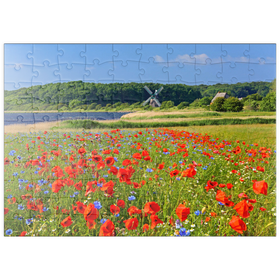 Darstellung des Puzzle Motivs Mohnblumenfeld mit Blick zur Windmühle Charlotte in der Geltinger Birk - Puzzleteile: 100