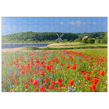puzzleplate Mohnblumenfeld mit Blick zur Windmühle Charlotte in der Geltinger Birk, Geltinger Bucht 200 Puzzle