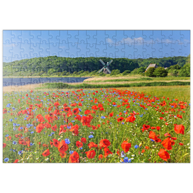 Darstellung des Puzzle Motivs Mohnblumenfeld mit Blick zur Windmühle Charlotte in der Geltinger Birk - Puzzleteile: 200