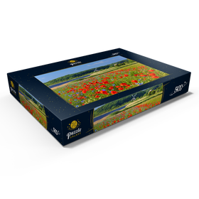 Darstellung des Puzzle Motivs Mohnblumenfeld mit Blick zur Windmühle Charlotte in der Geltinger Birk - Puzzleteile: 500