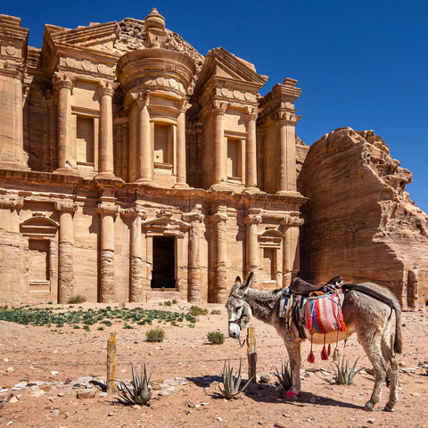 Esel vor dem Monastery Ad-Deir (Al-Deir, El-Deir, Ed-Deir), antike Felsenstadt Petra, Jordanien 1000 Puzzle 3D Modell