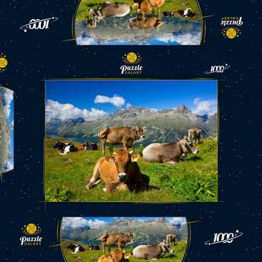 Kühe am Weg vom Corvatsch-Murtel mit Piz Polaschin (3013 m) und Oberengadiner Seen, St. Moritz 1000 Puzzle Schachtel 3D Modell
