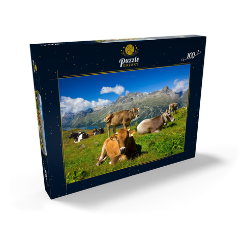 Kühe am Weg vom Corvatsch-Murtel mit Piz Polaschin (3013 m) und Oberengadiner Seen, St. Moritz 100 Puzzle Schachtel Ansicht2